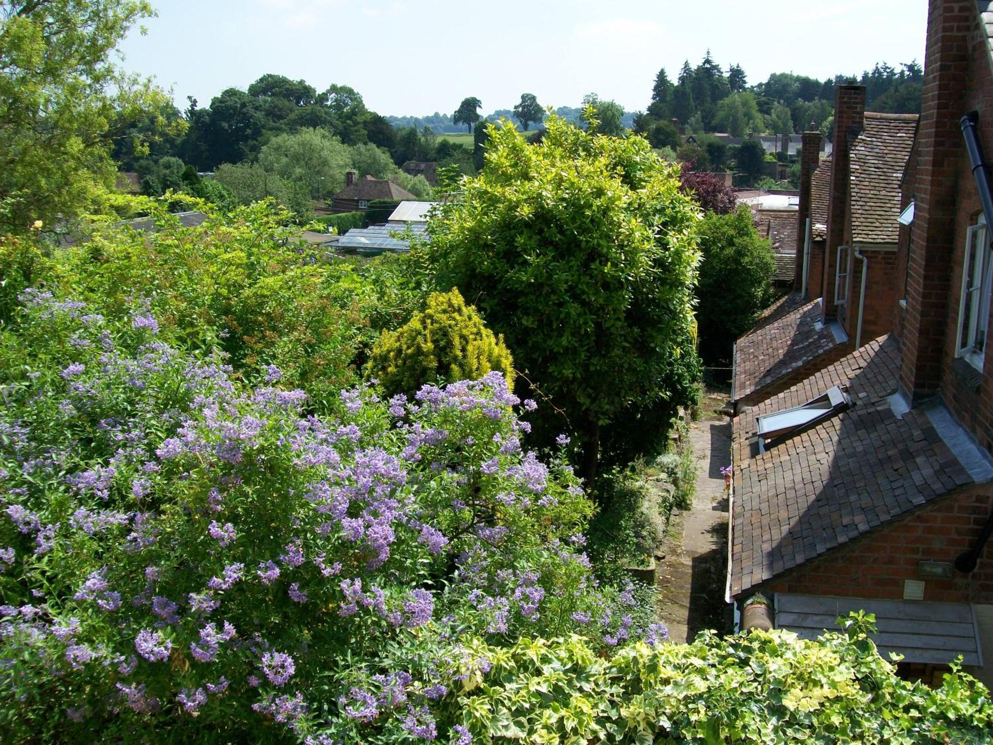 Frog Cottage, Ludlow - A Charming Townhouse For 4 Dış mekan fotoğraf